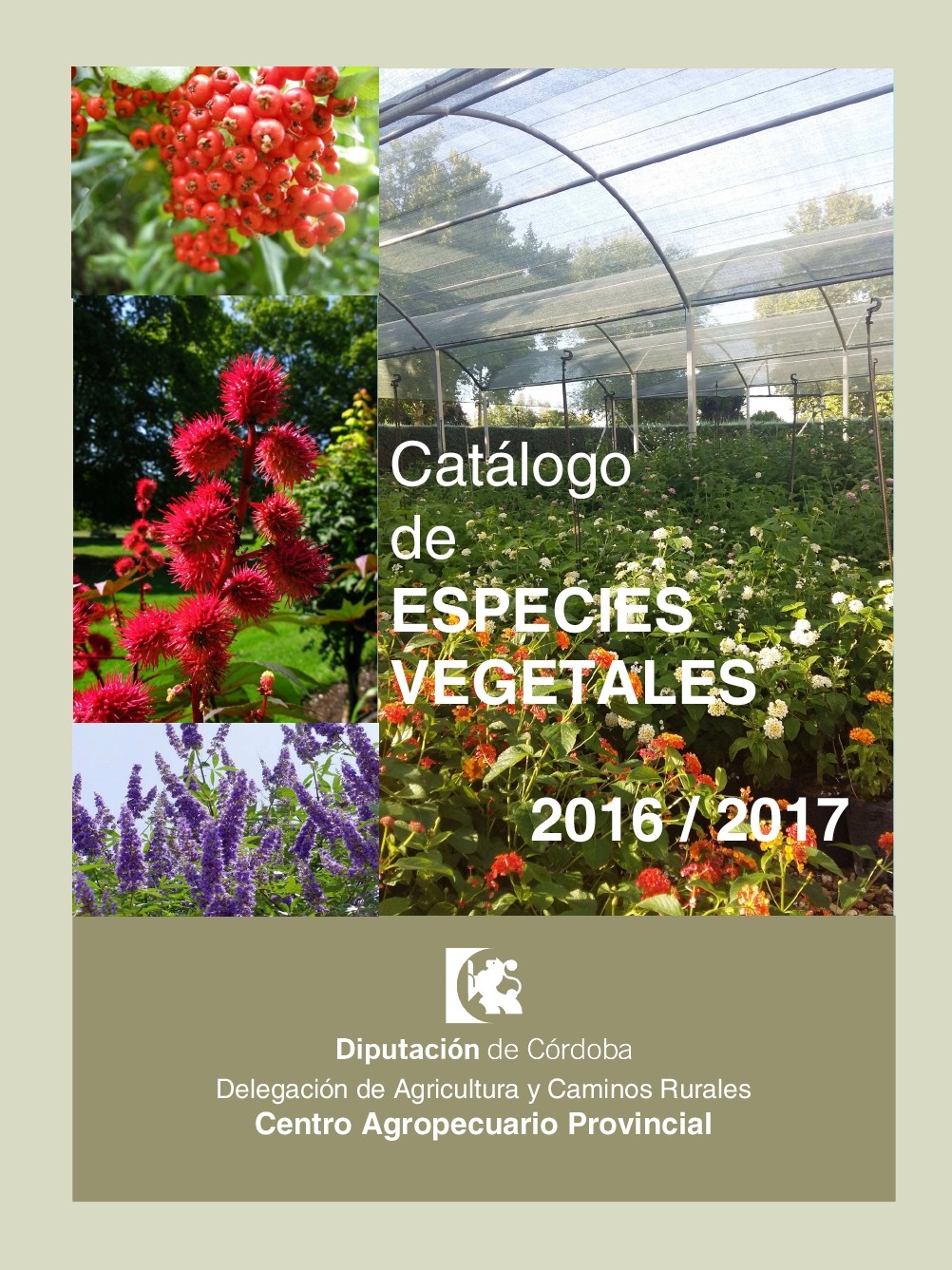 CATALOGO ESPECIES VEGETALES 16-17.jpg