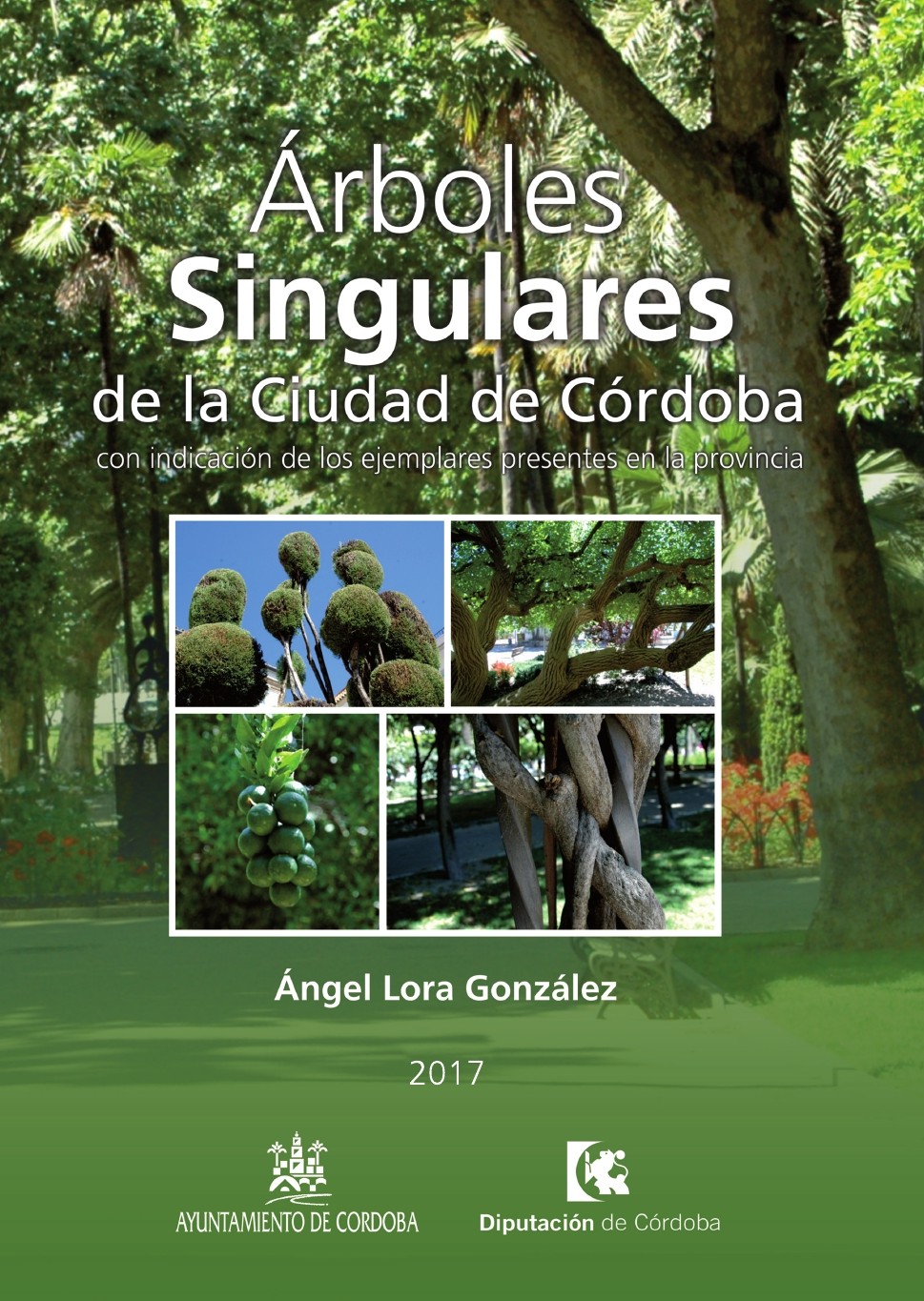 Arboles singulares de la ciudad de Córdoba.jpg