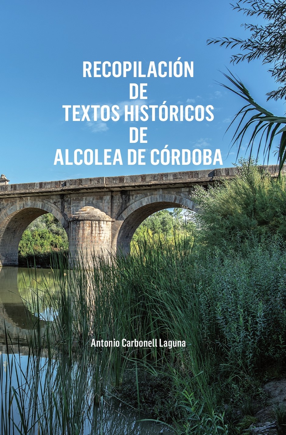 Textos historicos de Alcolea.jpg