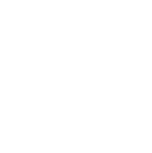 Logotipo Diputación blanco