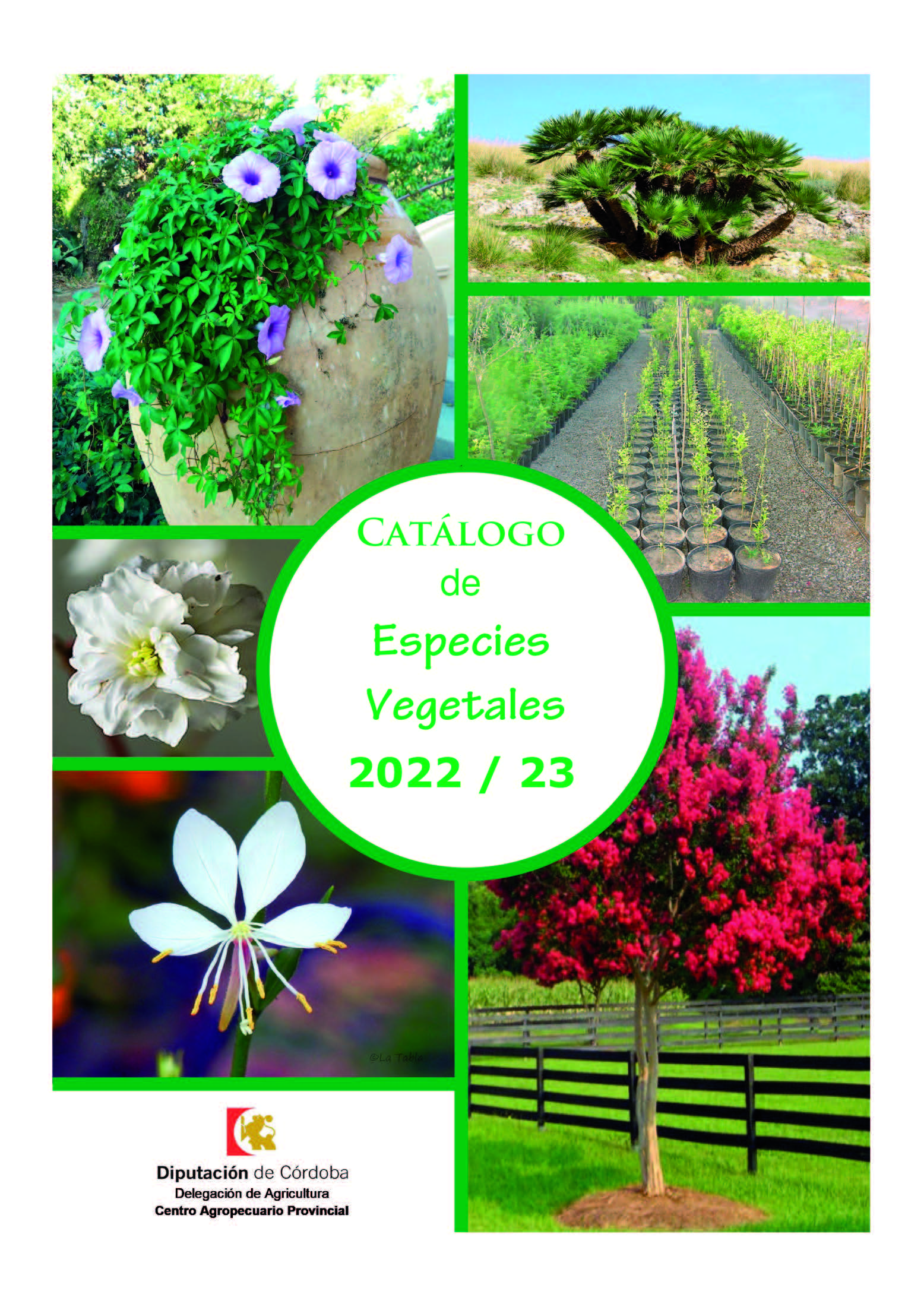 CATALOGO ESPECIES VEGETALES.jpg